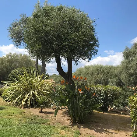 Villa Charming 800 M From A Fine Sandy Beach